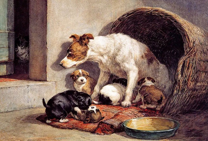 荷蘭女畫家亨麗埃特·隆納·克尼普筆下的狗，活靈活現